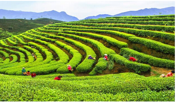 十万亿的文旅行业规模